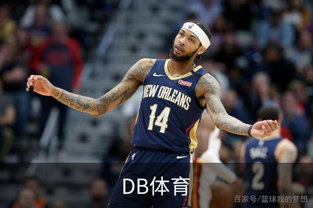 DB体育 公司简介